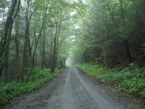 Forest Road, Doug Bradley