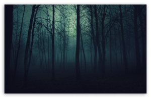 dark_forest-t2